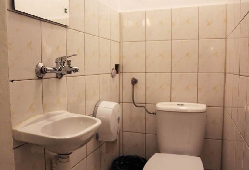 فندق صغير Viki Kazimierz