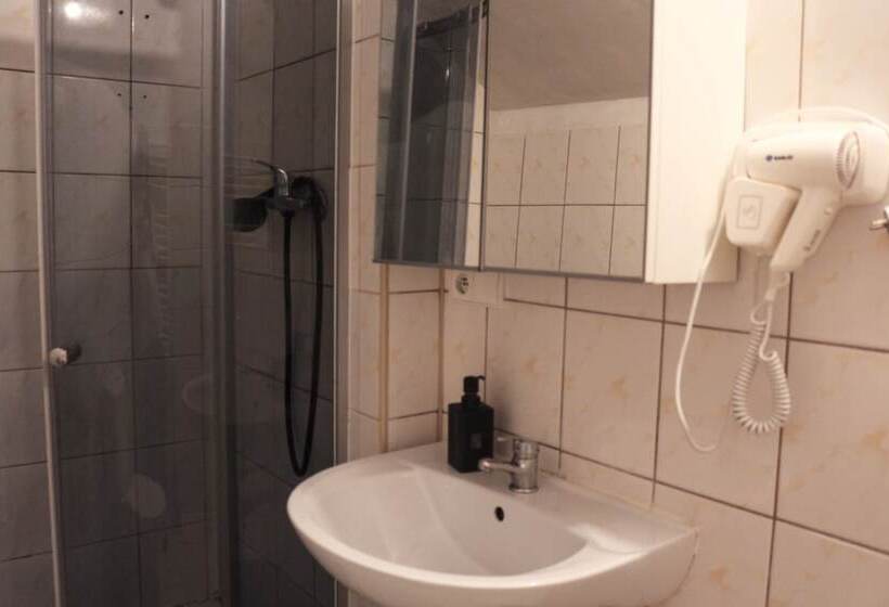 فندق صغير Viki Kazimierz