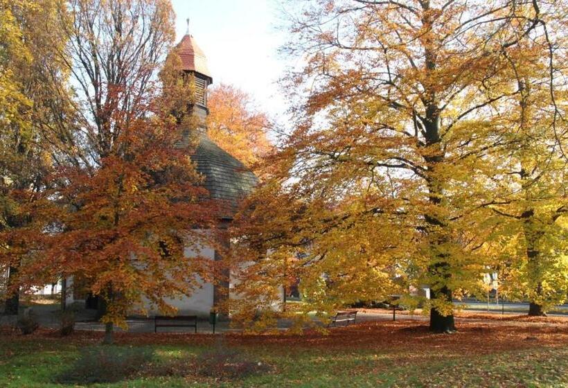 호스텔 Zajazd Biały Dom