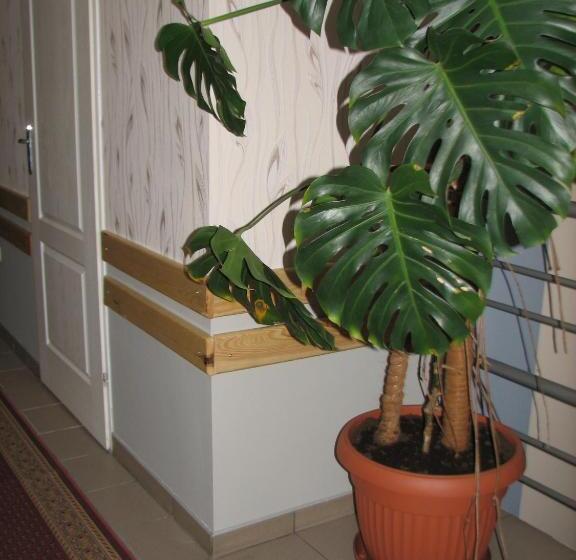 호스텔 Zajazd Markowski