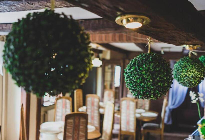 הוסטל Zajazd Pod Lipami