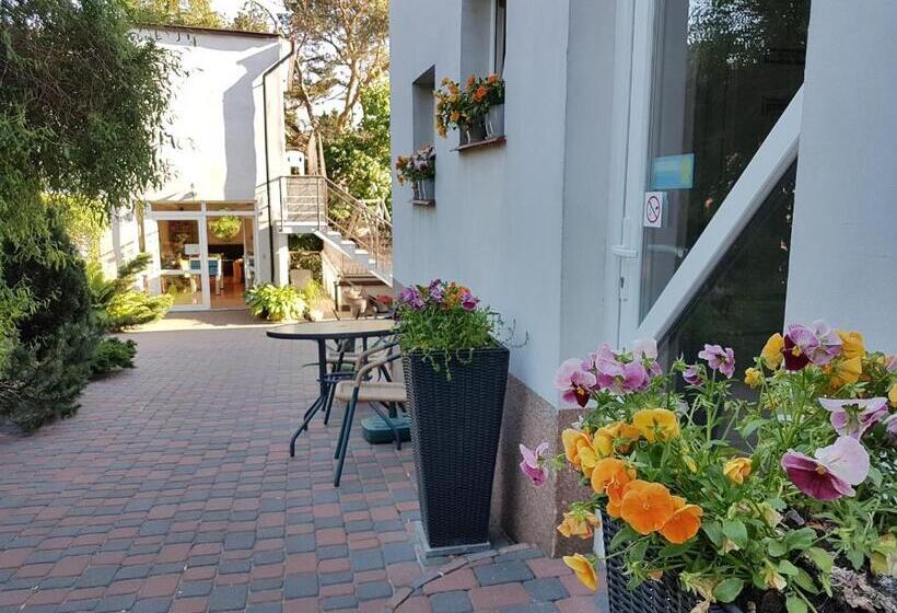 تختخواب و صبحانه Dom Wczasowy Danusia