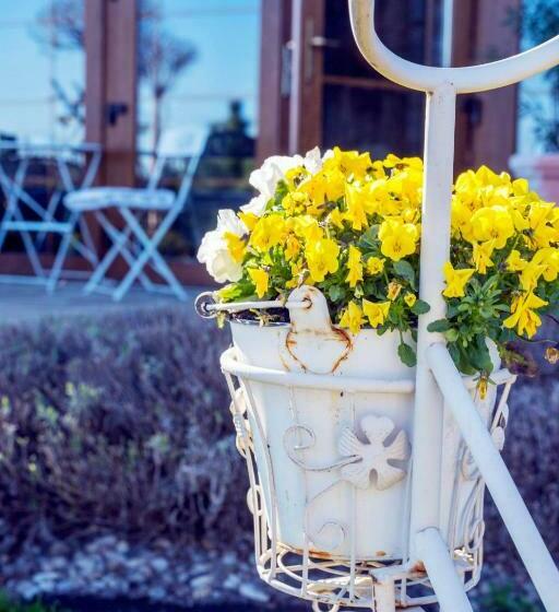 Bed and Breakfast Feniks Agro&spa Adults Only