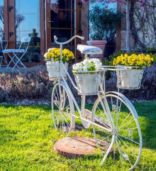 Bed and Breakfast Feniks Agro&spa Adults Only