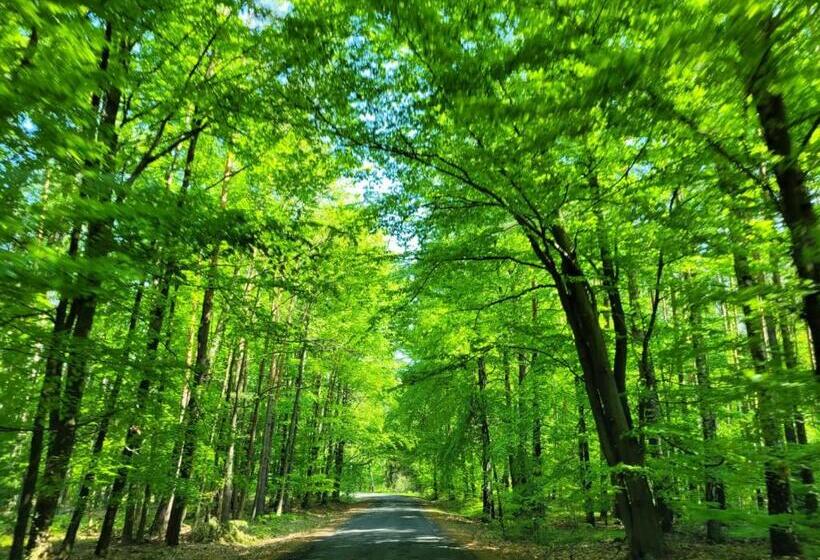 ベッドアンドブレックファースト Good Sleep