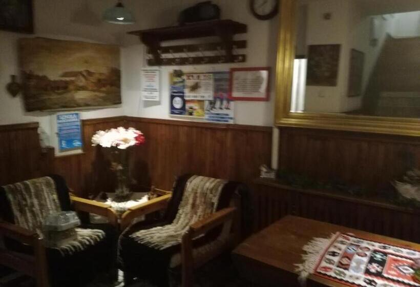 Bed and Breakfast Pokoje Gościnne Irena