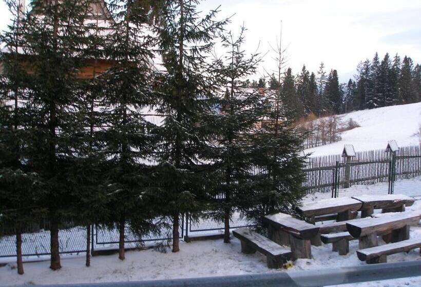 Bed and Breakfast Pokoje Gościnne Irena