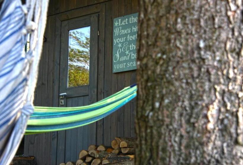 ベッドアンドブレックファースト Sirvis Apartamenty