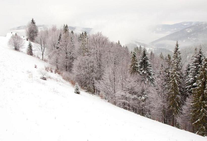 ベッドアンドブレックファースト Swoboda Na Szczycie Góry