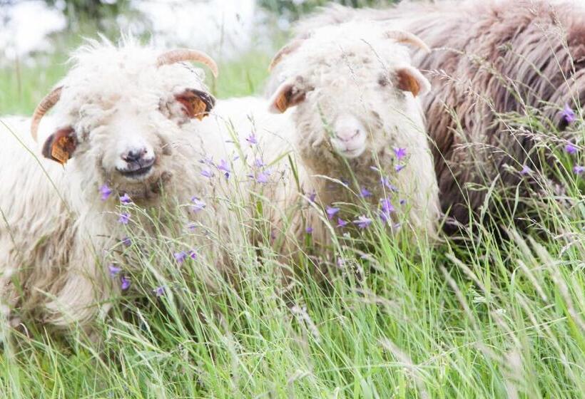 ベッドアンドブレックファースト Swoboda Na Szczycie Góry