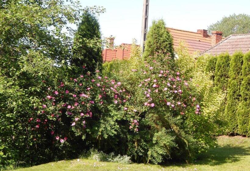 צימר The Green House