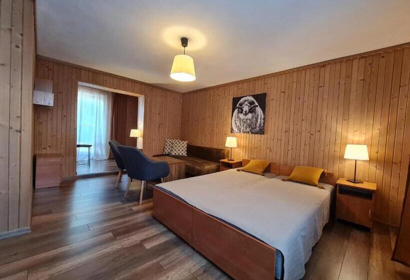 Bed and Breakfast Willa Owca Czarna