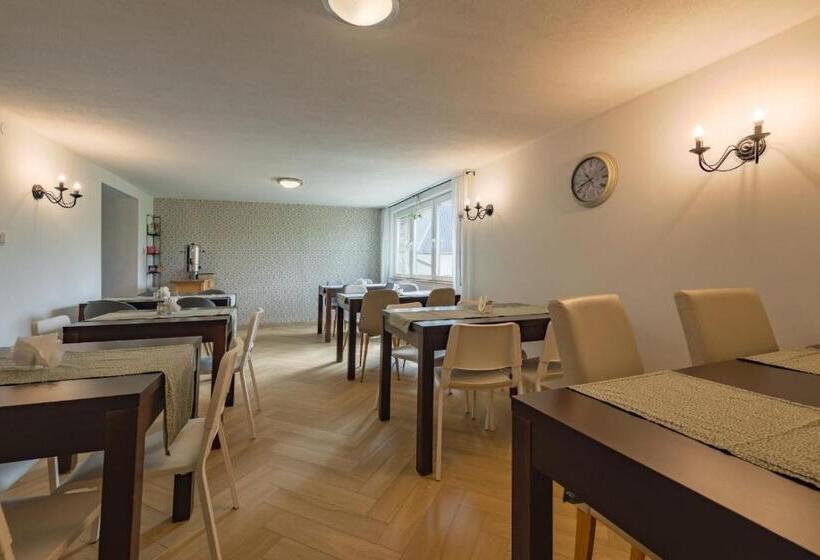 Bed and Breakfast Willa Owca Czarna