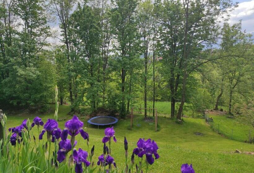 Bed and Breakfast Willa Owca Czarna