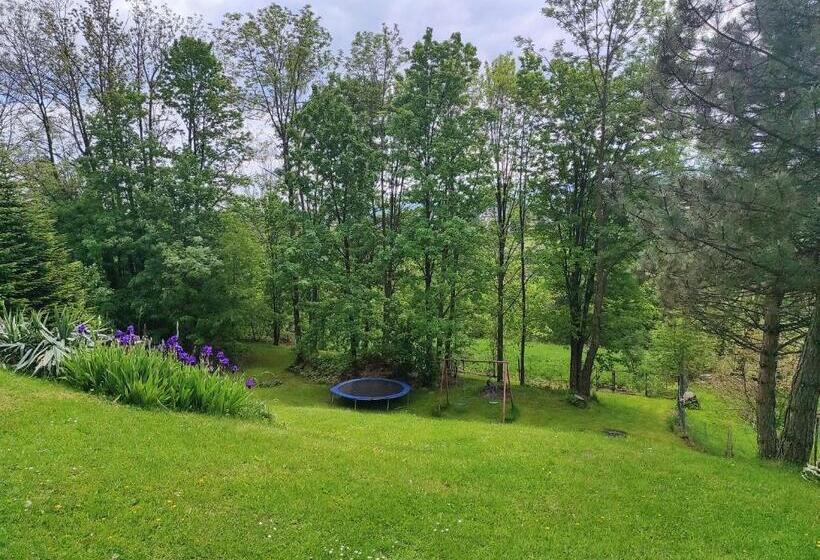 Bed and Breakfast Willa Owca Czarna