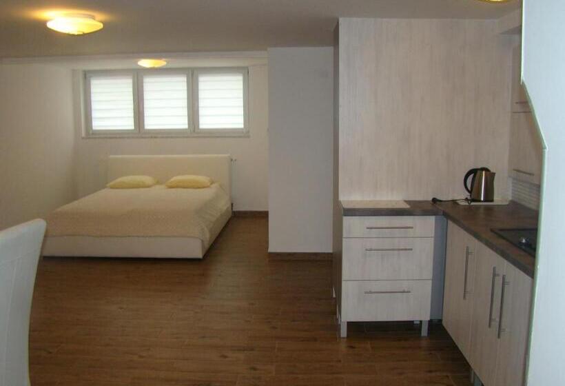 تختخواب و صبحانه Willa Stenia Center Apartamenty