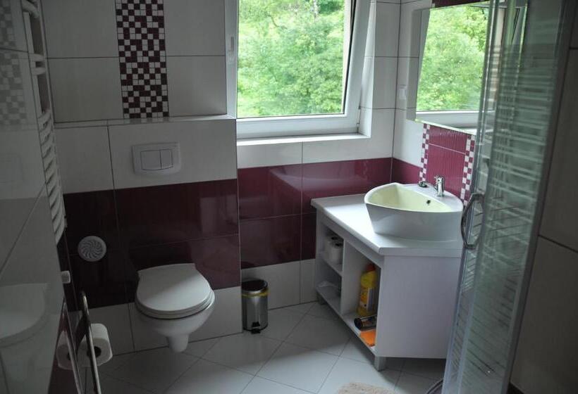 تختخواب و صبحانه Willa Stenia Center Apartamenty