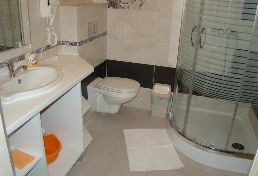 تختخواب و صبحانه Willa Stenia Center Apartamenty