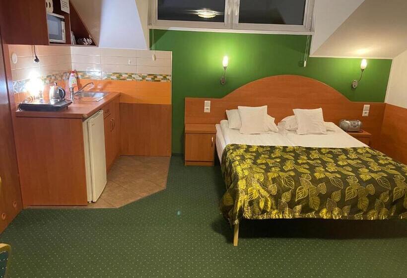 تختخواب و صبحانه Willa Stenia Center Apartamenty