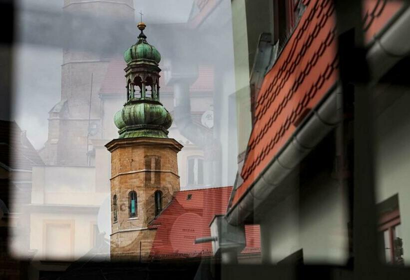 Bed and Breakfast Zeppelin Apartments Simple Acomodation