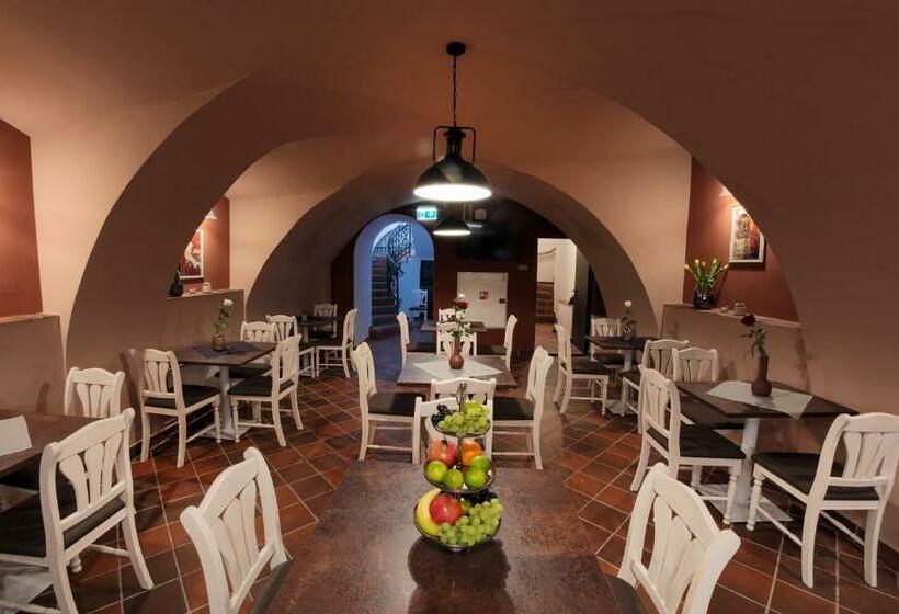 Bed and Breakfast Zeppelin Apartments Simple Acomodation