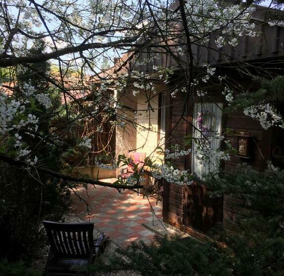 Domek Pod Wiciokrzewem