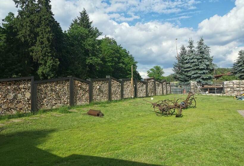 Отель Agroturystyka Gęsiniec Stare Osieczno