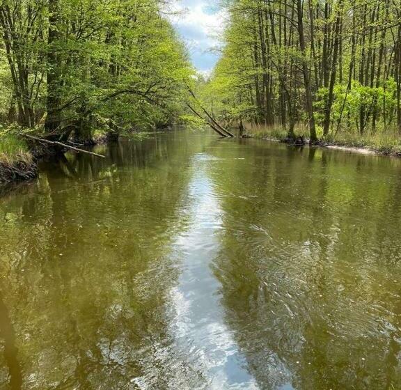 Отель Agroturystyka Gęsiniec Stare Osieczno