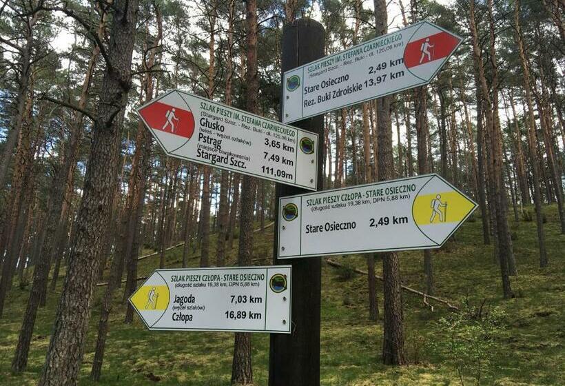 Отель Agroturystyka Gęsiniec Stare Osieczno