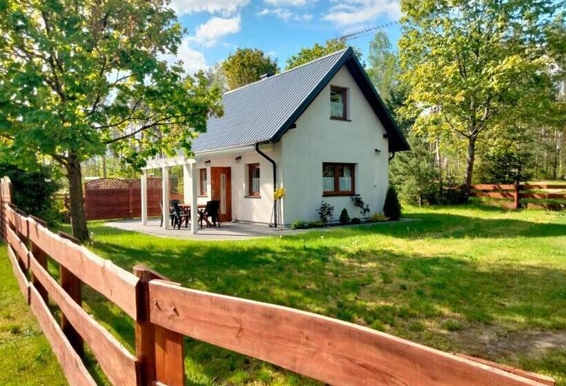 فندق Agroturystyka Pod Klonem