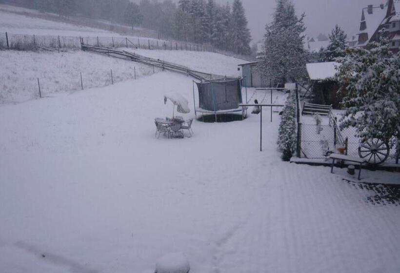 هتل Agroturystyka Pod Lasem