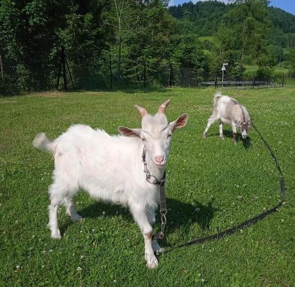 فندق Agroturystyka U Chlebków