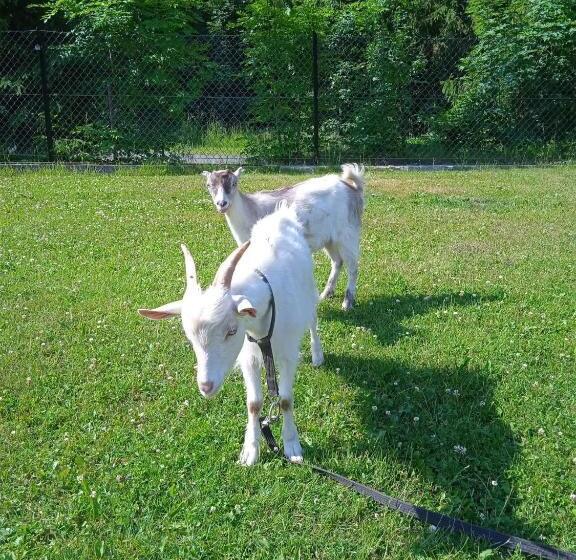 فندق Agroturystyka U Chlebków