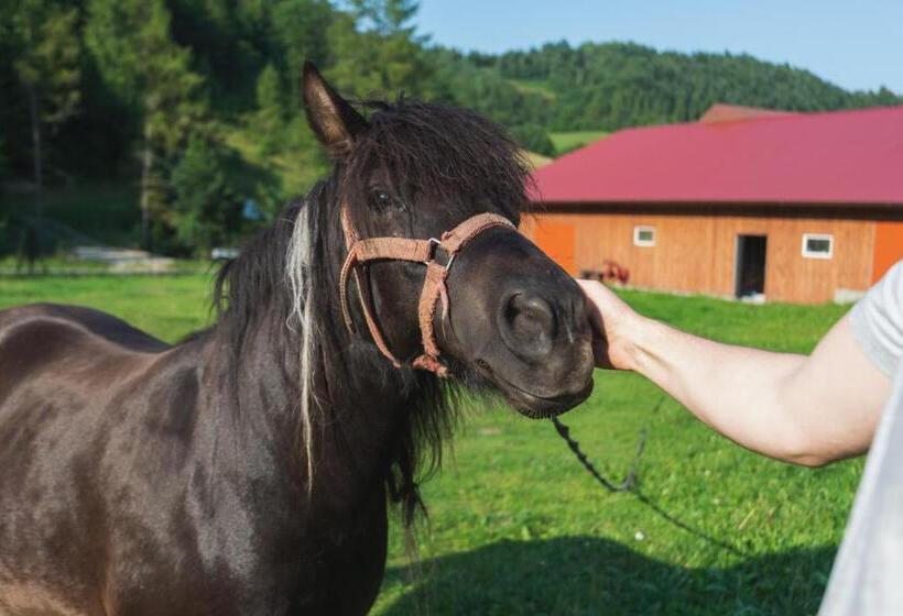 ホテル Agroturystyka U Chlebków