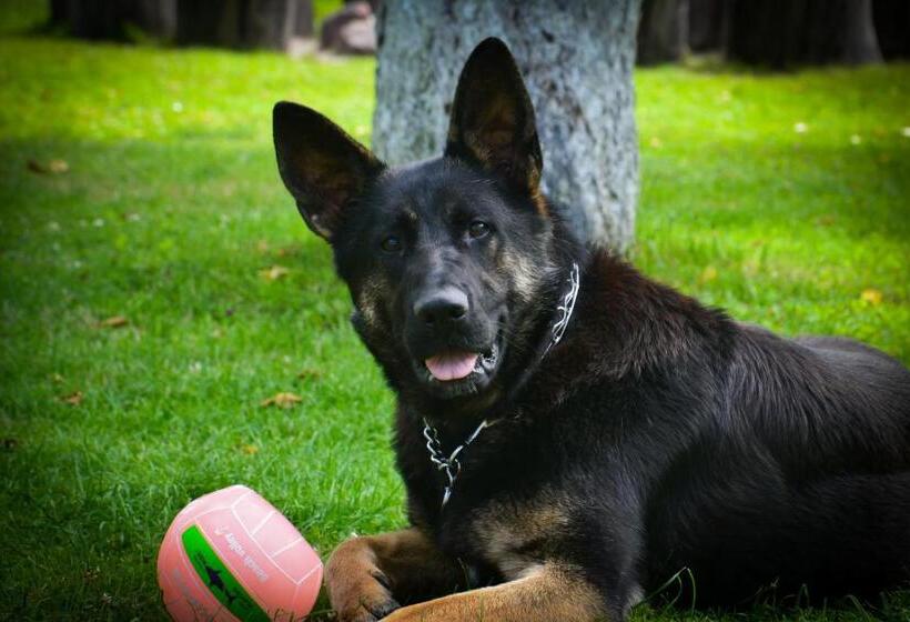 בית מלון כפרי Agroturystyka W Jabłoniowym Sadzie