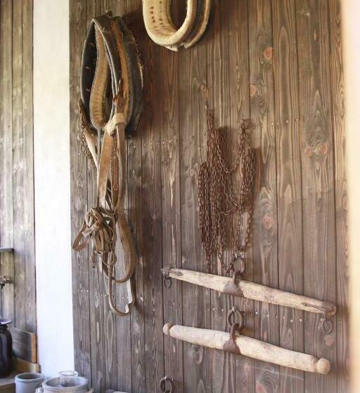 בית מלון כפרי Agro Zagroda