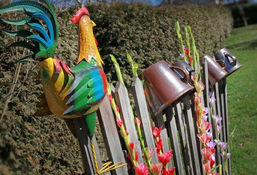 בית מלון כפרי Agro Zagroda