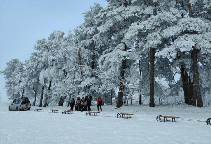 ホテル Apartament Skandynawski