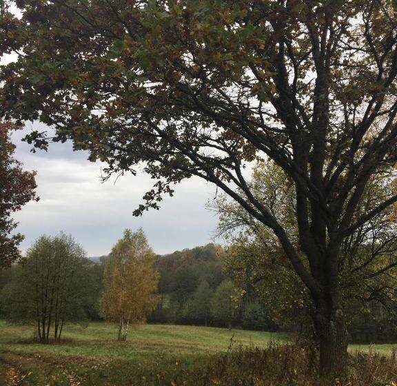 ホテル Apartament Skandynawski