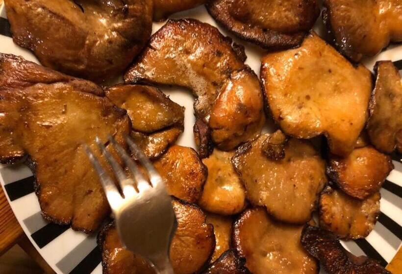 فندق Bieszczadzki Klin Bklin