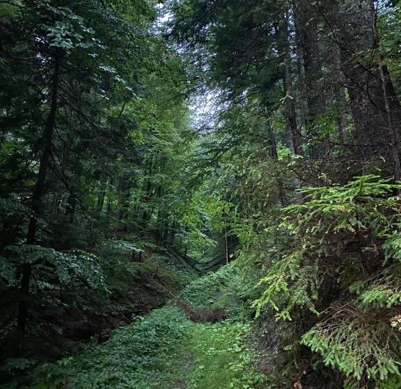 فندق Bieszczadzki Klin Bklin