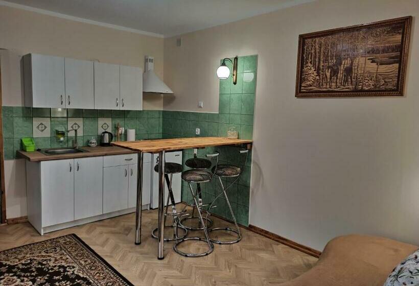 בית מלון כפרי Bora Zdrój   Apartament