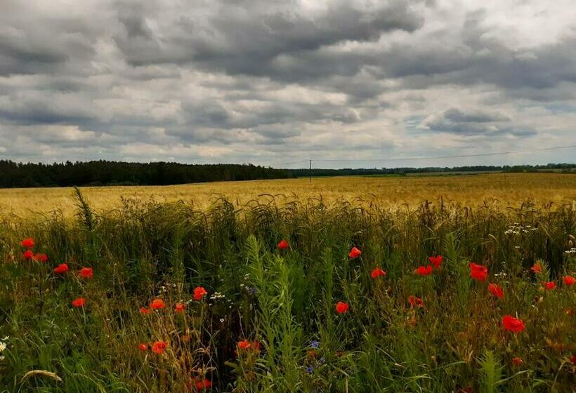 בית מלון כפרי Czarna Jachta   Na Szlaku Legend           Pokoje Nad Jeziorem