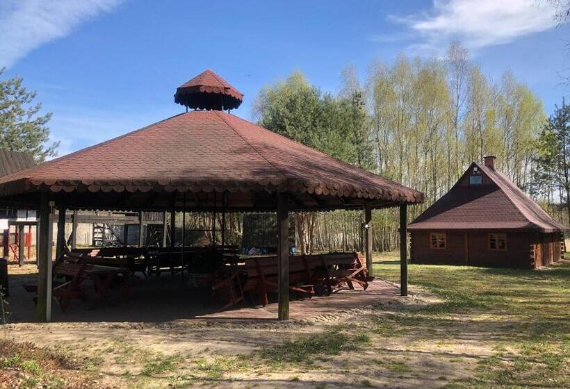 Отель Dolina Bobrów