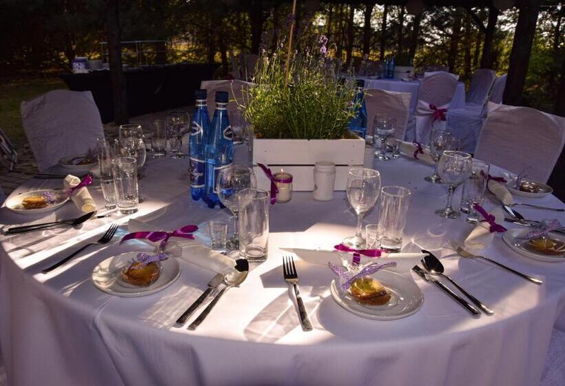 Отель Dolina Bobrów