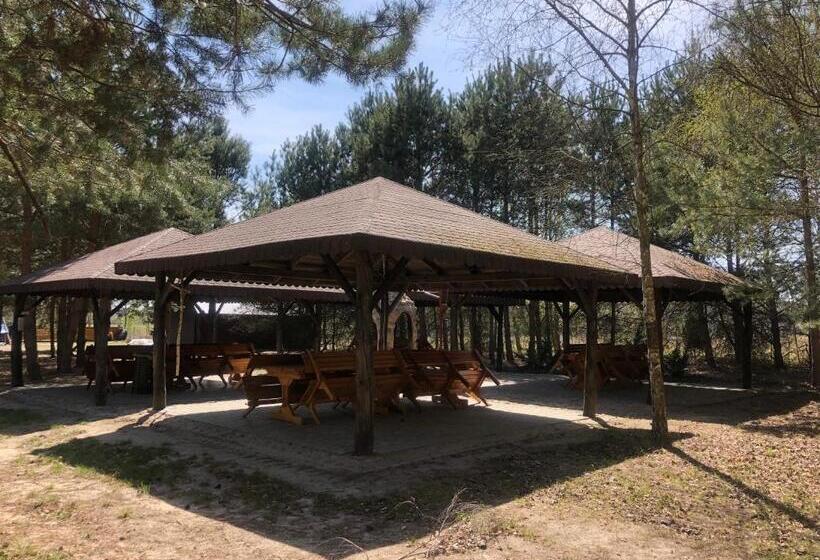 Отель Dolina Bobrów