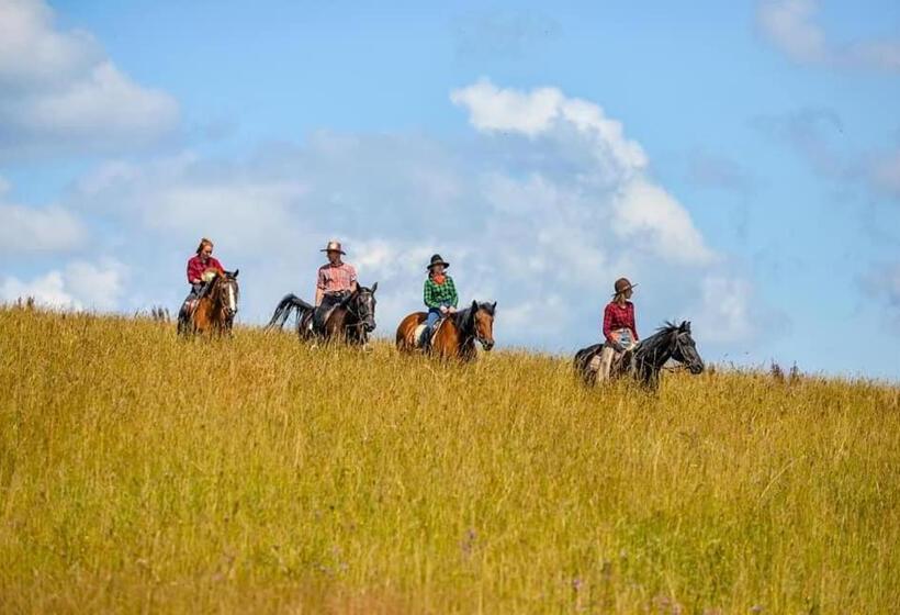 בית מלון כפרי Farma Lama Dom Gościnny