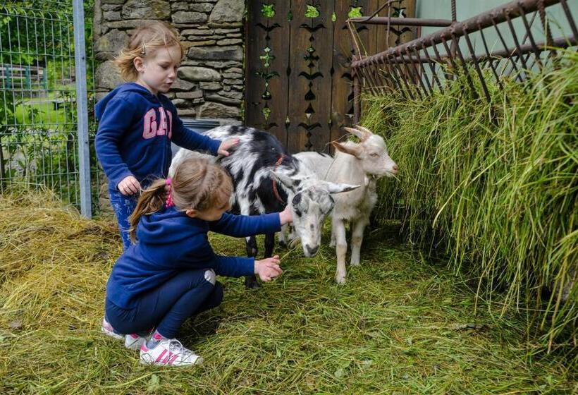 בית מלון כפרי Farma Lama Dom Gościnny