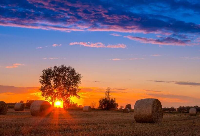 فندق Folwark Malinowy Chruśniak