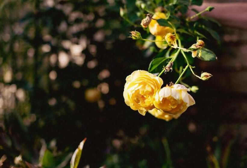 בית מלון כפרי Gajraj